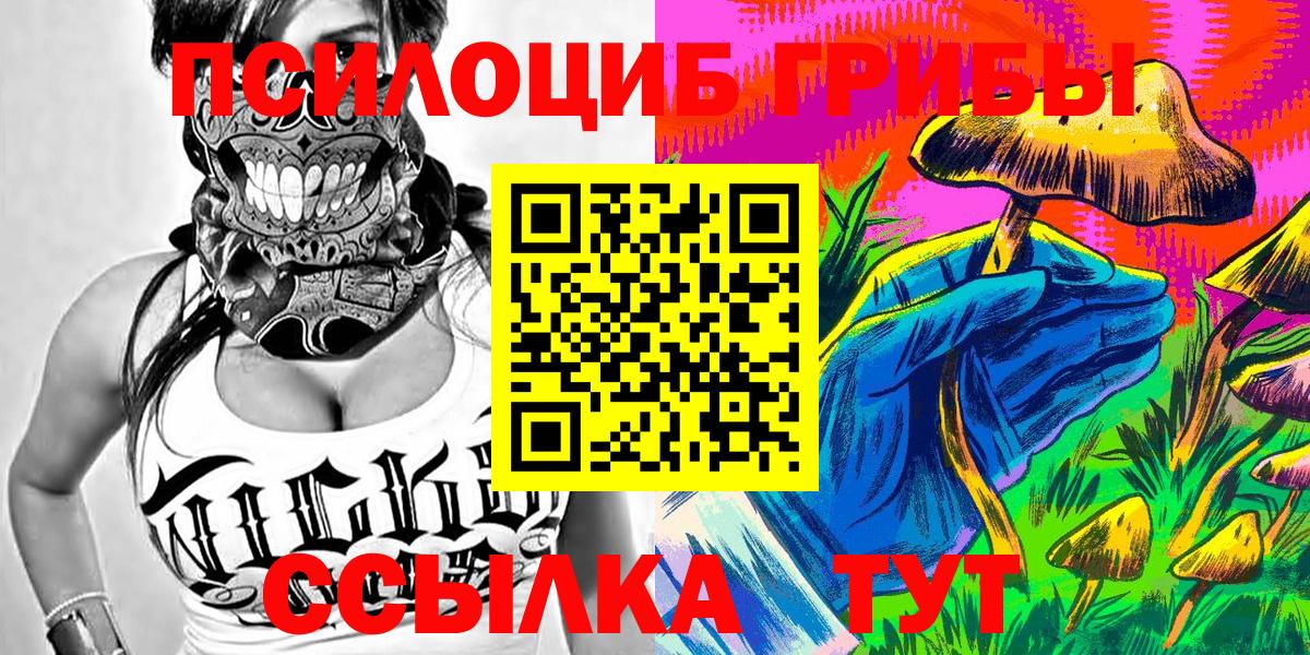 Томск  Псилоцибиновые грибы Cubensis  Вход с VPN 